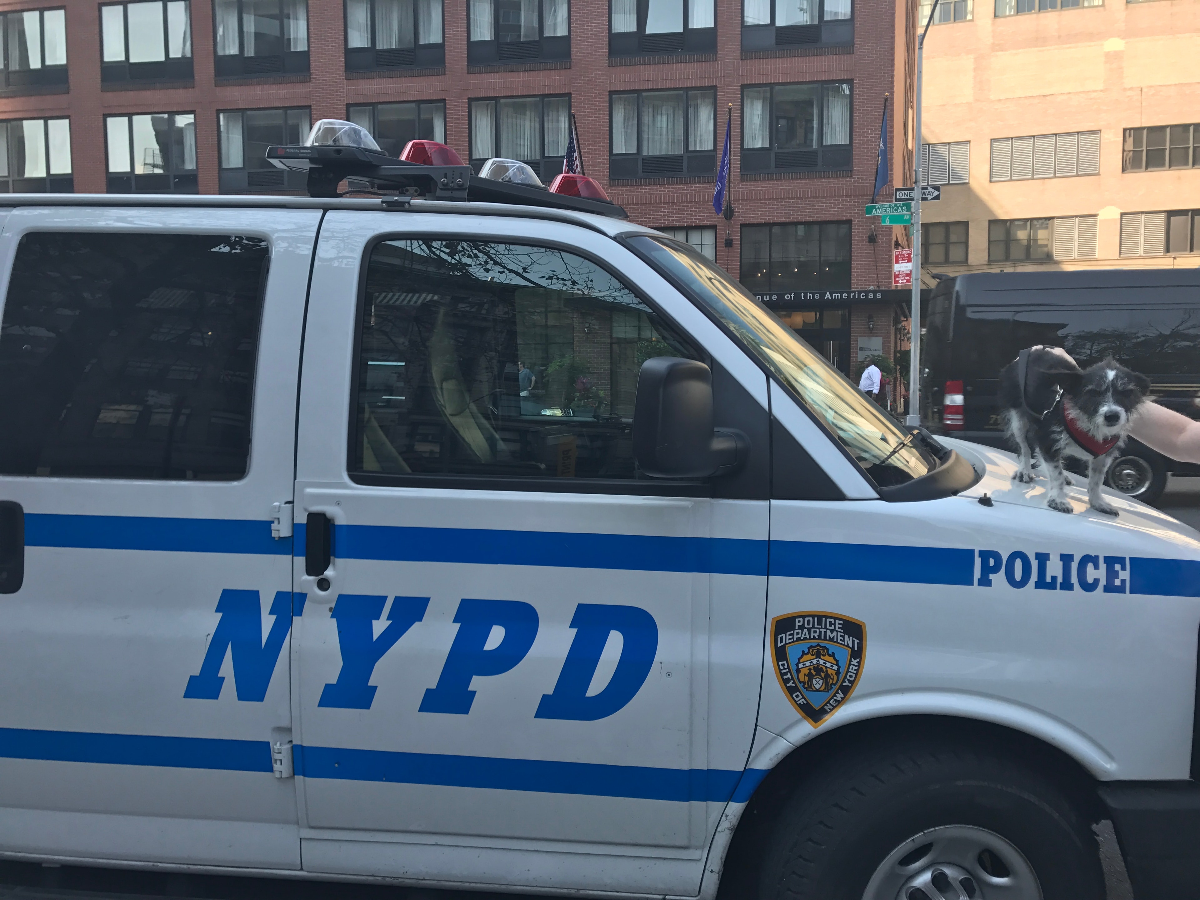 Murray on top of an NYPD van in Manhattan